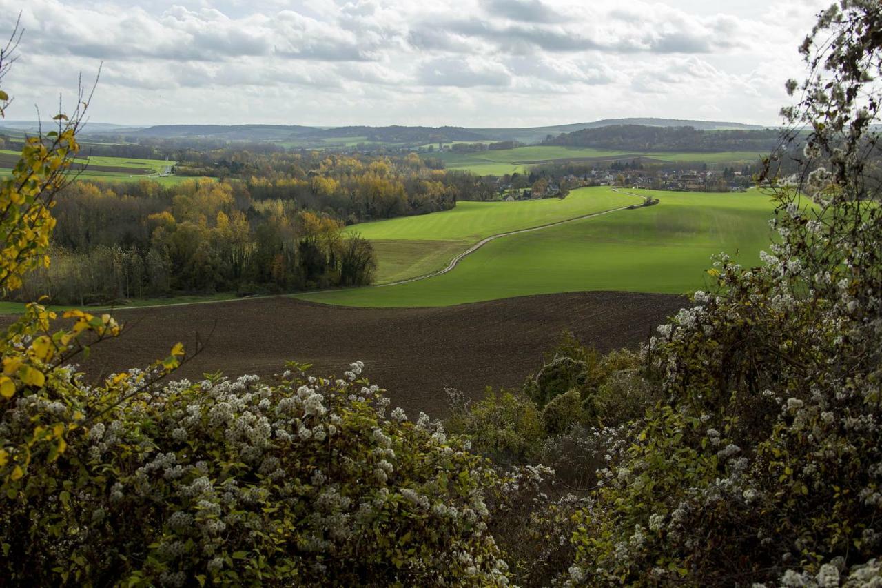 Le Lodge Des Bruyeres Mont-Notre-Dame Zewnętrze zdjęcie